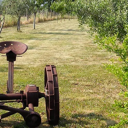 مزرعة للإقامة Le Sorgenti