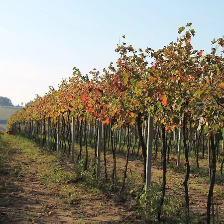 مزرعة للإقامة Le Sorgenti *