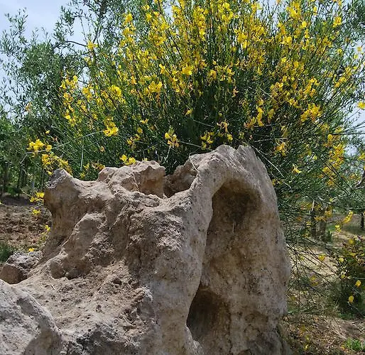 팜스테이 Le Sorgenti 피틸리아노